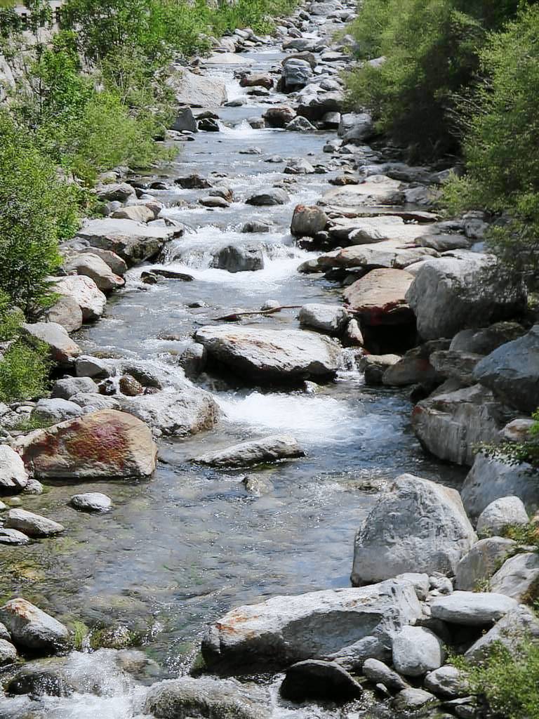 foto6