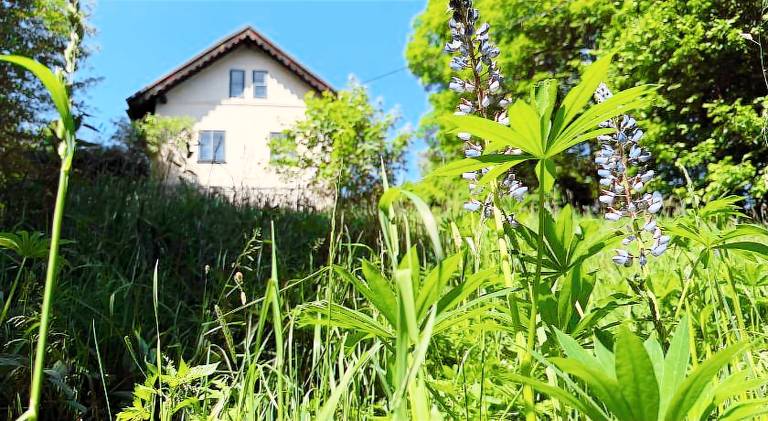 Lodge with private pool, patio & yard | Dogs allowed in Olomouc