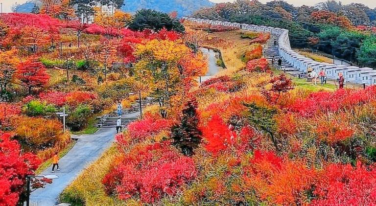 Nice holiday apartment with yard | Near N Seoul Tower | Pets allowed — photo 3