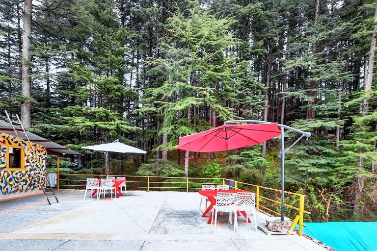 Asha Cottage Manali — photo 5