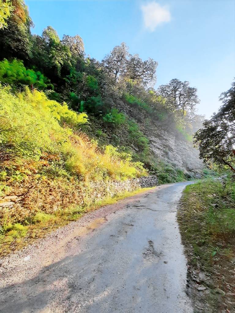 Janardan Resort Pangot — photo 5