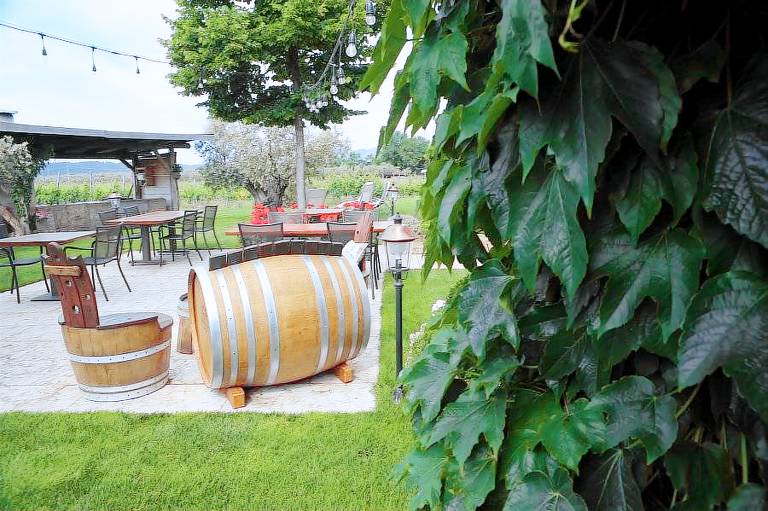 Sol de Montalto: Chardonnay — photo 4