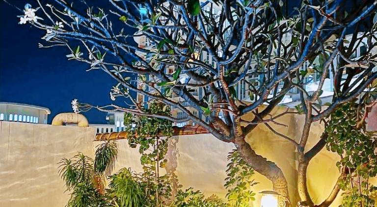 Charming rental apartment with pool | Pets are welcome — photo 4