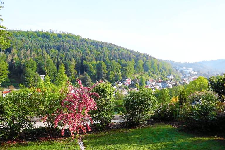 Ferienwohnung Bad Herrenalb
