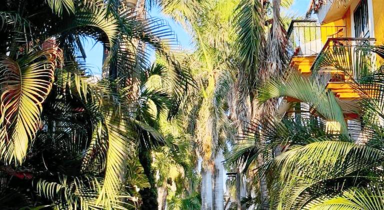 Apartment with 2 rooms for 5 persons in Mazatlán