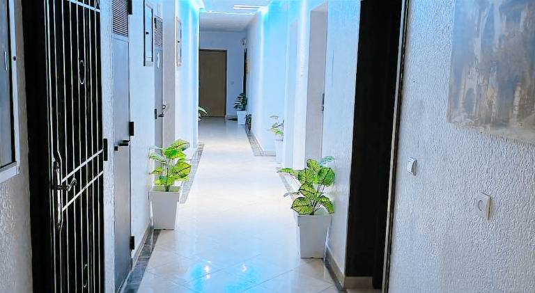 Rental apartment | Dogs allowed — photo 4