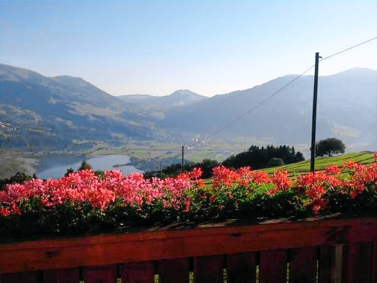 foto1