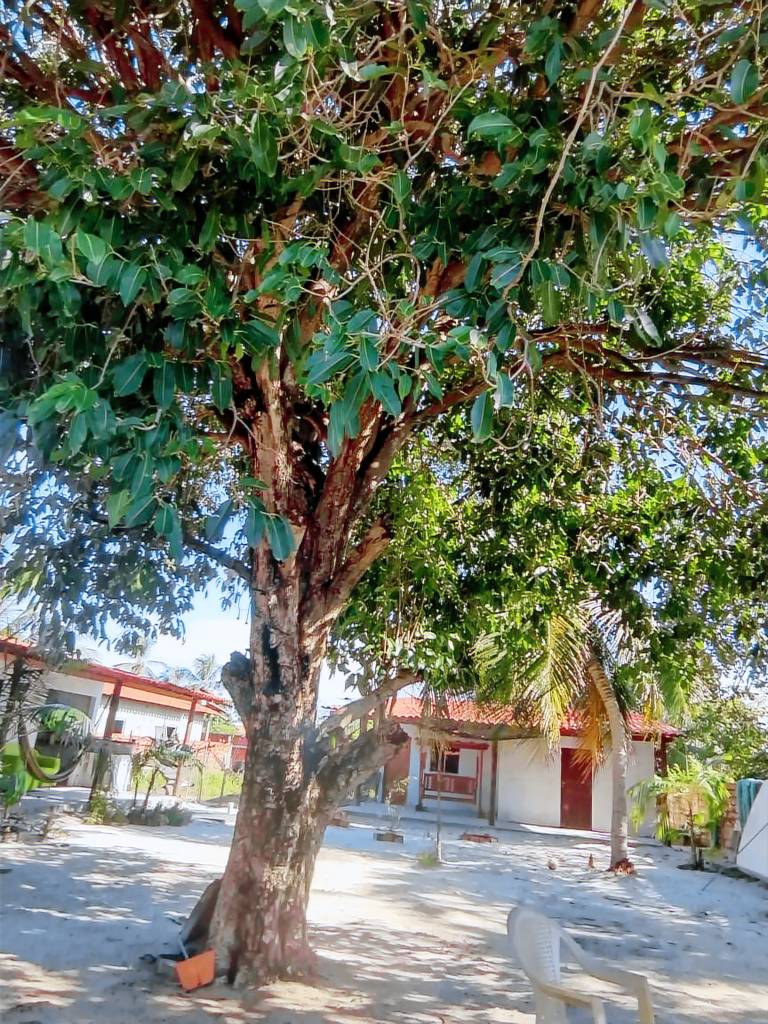 Hostel Campis Shalom — photo 2