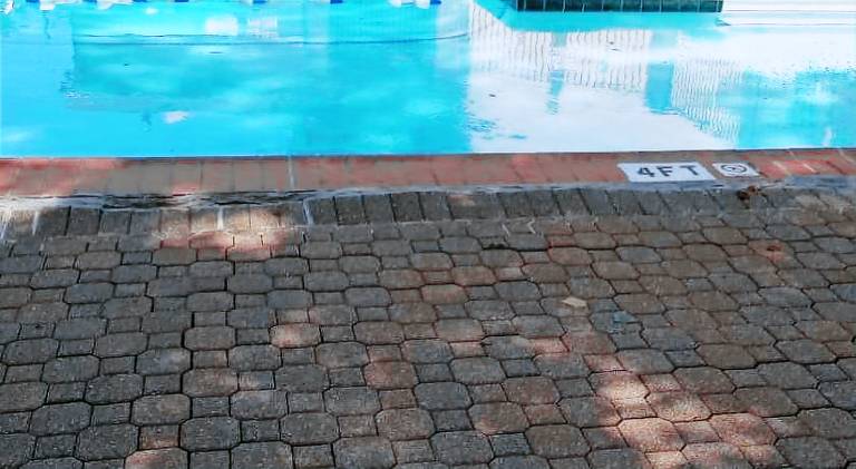 Fully equipped beautiful apartment with yard, patio & pool | Pet-friendly — photo 4