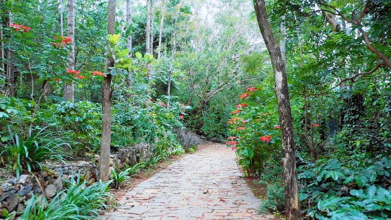 Villa Yercaud