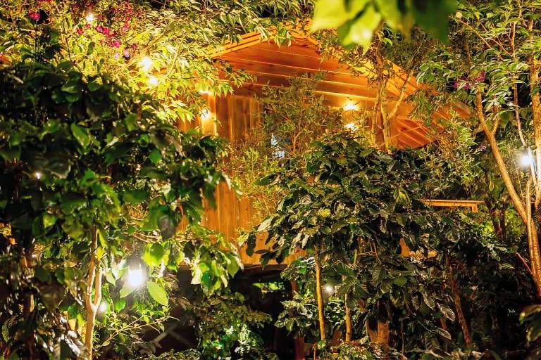 September Garden in Da Lat