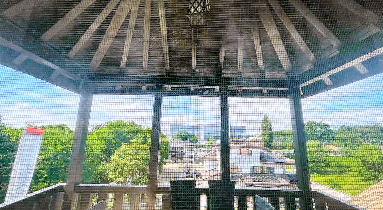 Lovely serviced apartment with patio & yard | Dogs allowed — photo 4