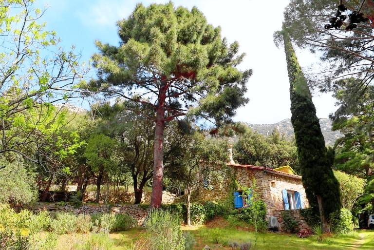 Gîte  Sorède