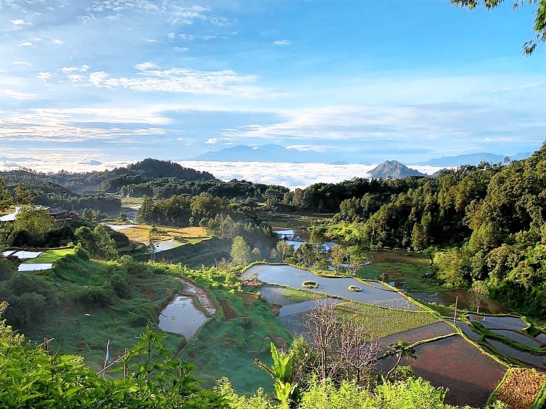 foto4