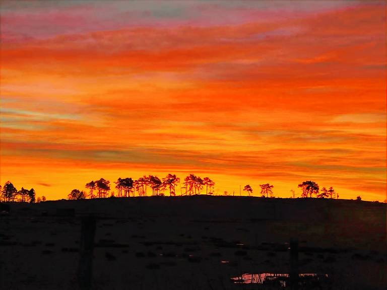 Cottage Aberdeenshire