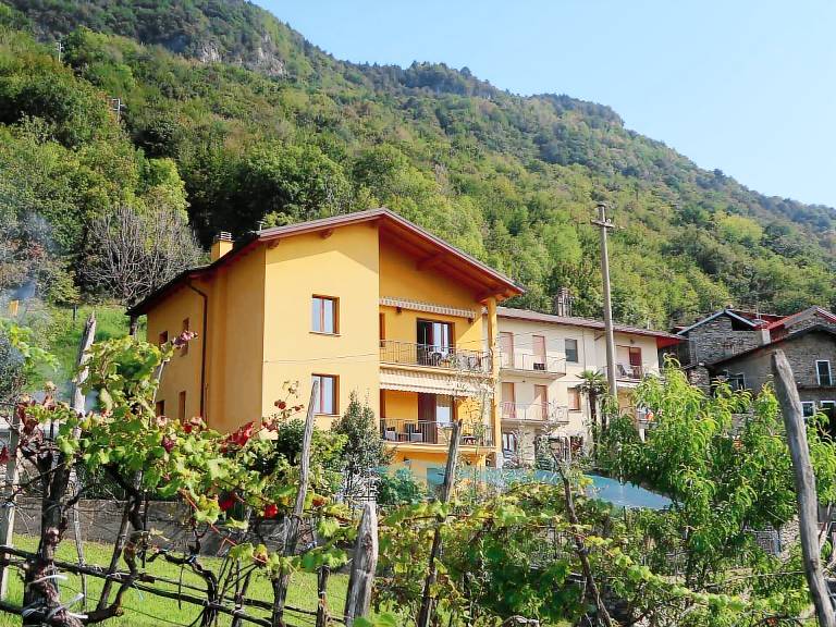 Gialla 739 1