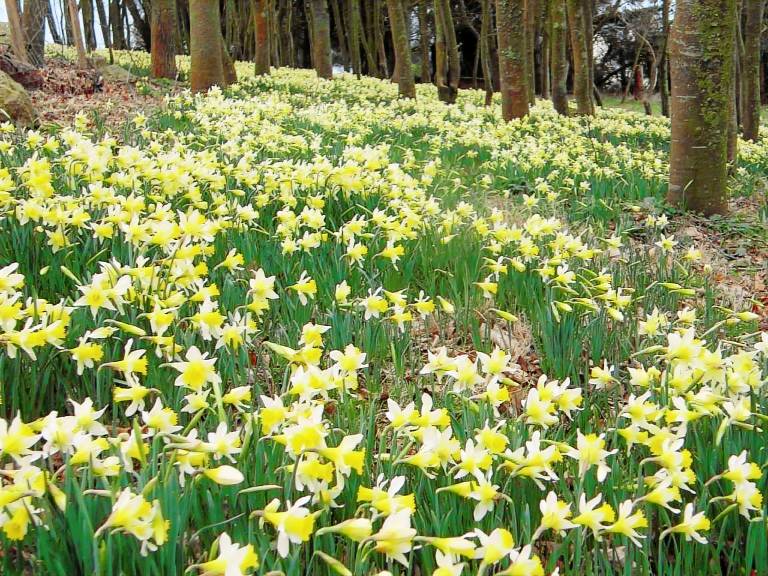 Ferienwohnung in Saint-Pol-de-Léon, Santec f&uuml;r max. 4 Personen