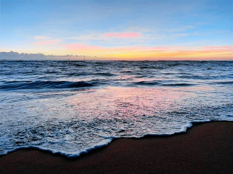 Condo  Kapaa