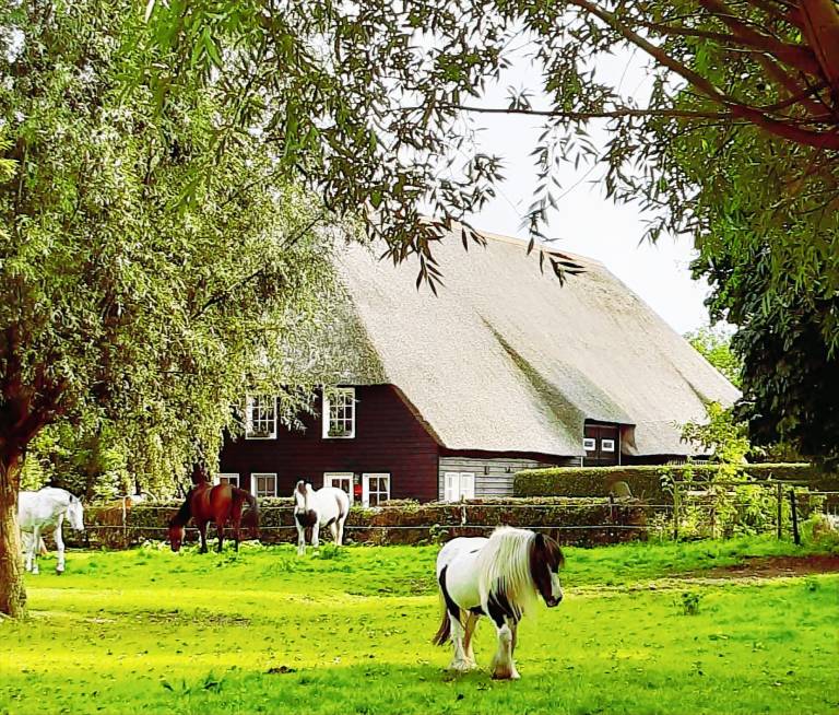 Huis Groede