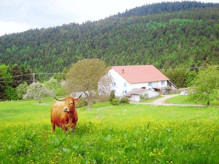 Cottage Girmont-Val-d'Ajol