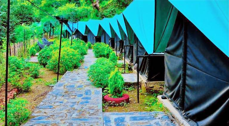 Venus Camping and resort Site — photo 3