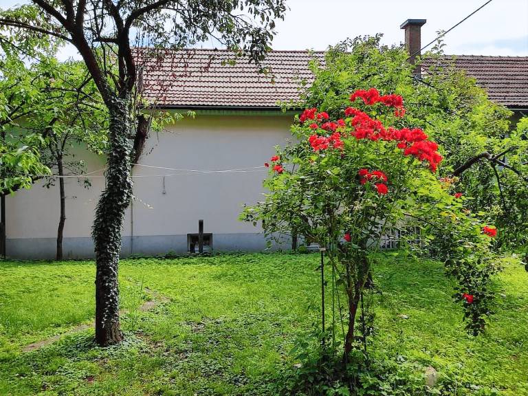 Appartement  Laibach