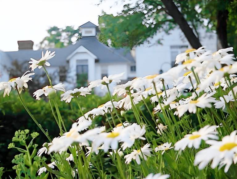 Swift House Inn in Addison, NY