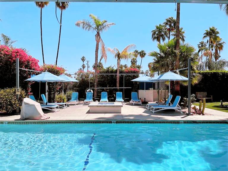 Desert Paradise Resort- Gay Men's Resort — photo 3