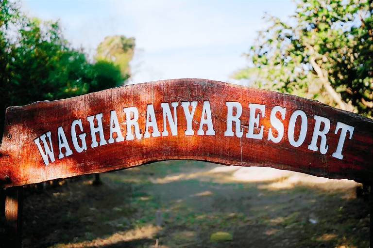 Wagharanya Resort, Moharli, Tadoba in Nagpur