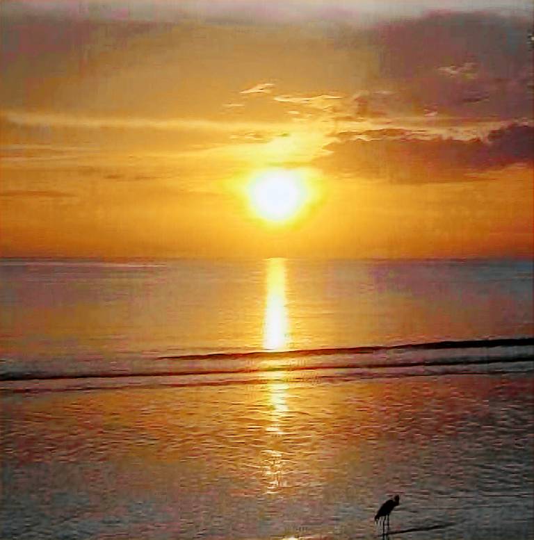 Condo  Marco Island