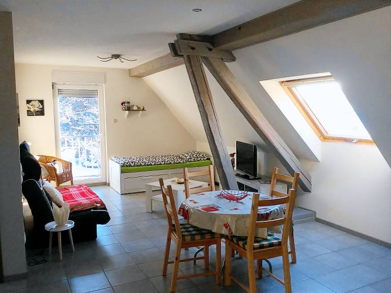Appartement La Petite-Pierre