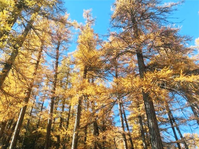 Ferienwohnung in Saas-Balen für max. 4 Gäste