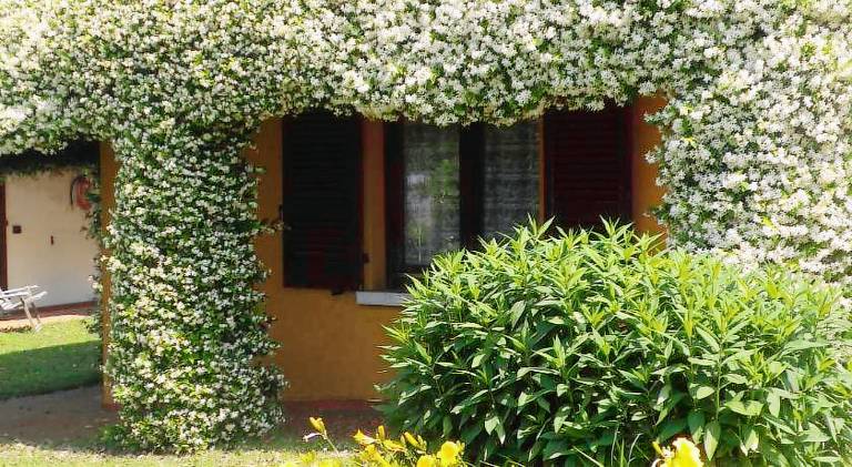Agriturismo Lonato del Garda