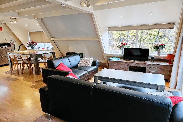 Chalet with pool | Dogs allowed — photo 4