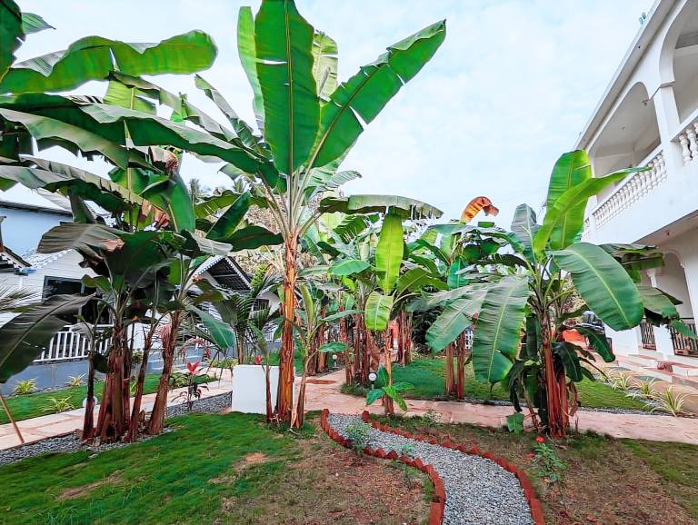 White Tree Resort — photo 3