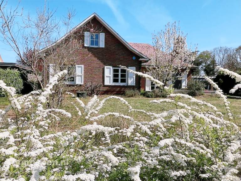 House with yard, grill & terrace in Turnhout