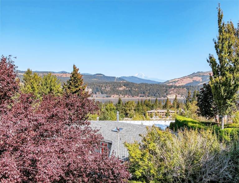 Family-oriented vacation home with patio | Dogs allowed — photo 5