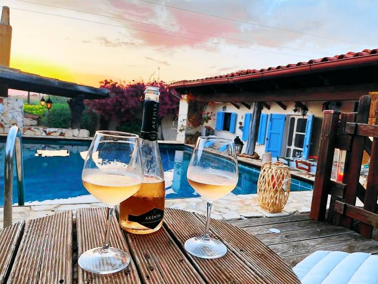 Villa with BBQ, private pool & yard — photo 3
