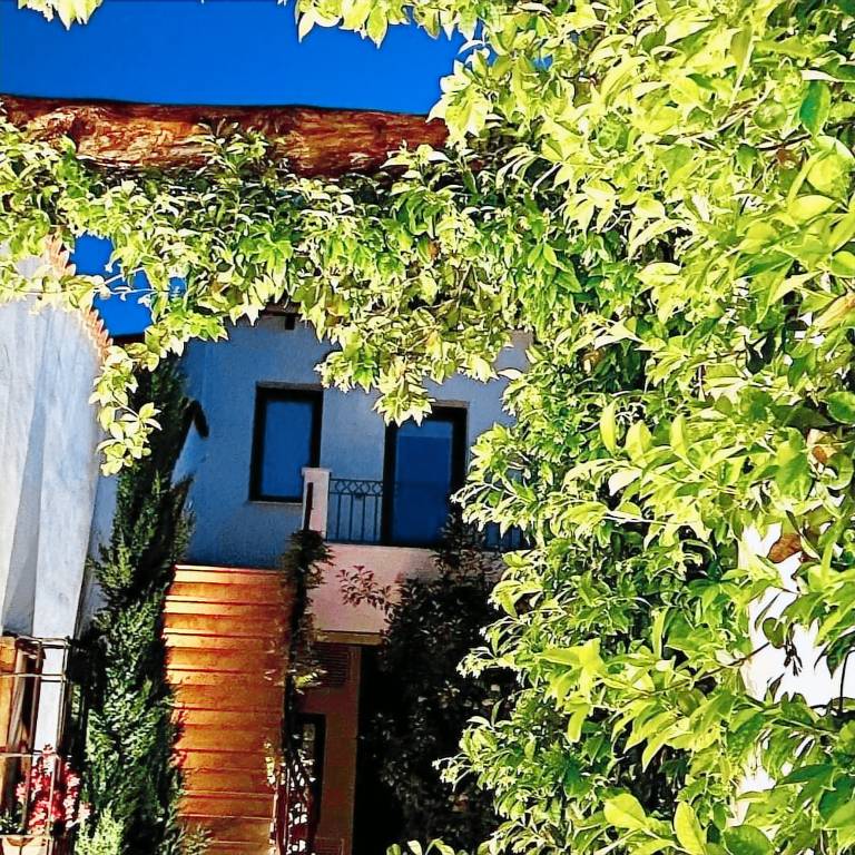 Casa Consuegra