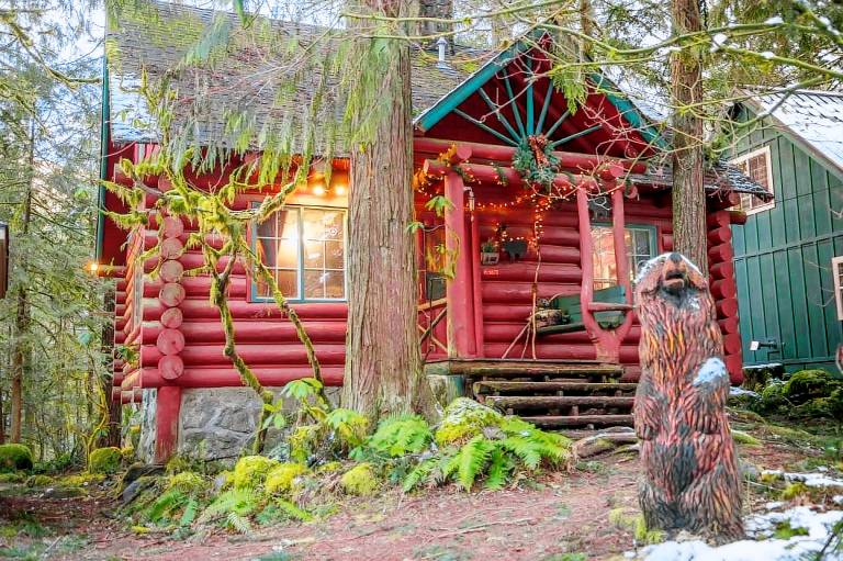 House Rhododendron