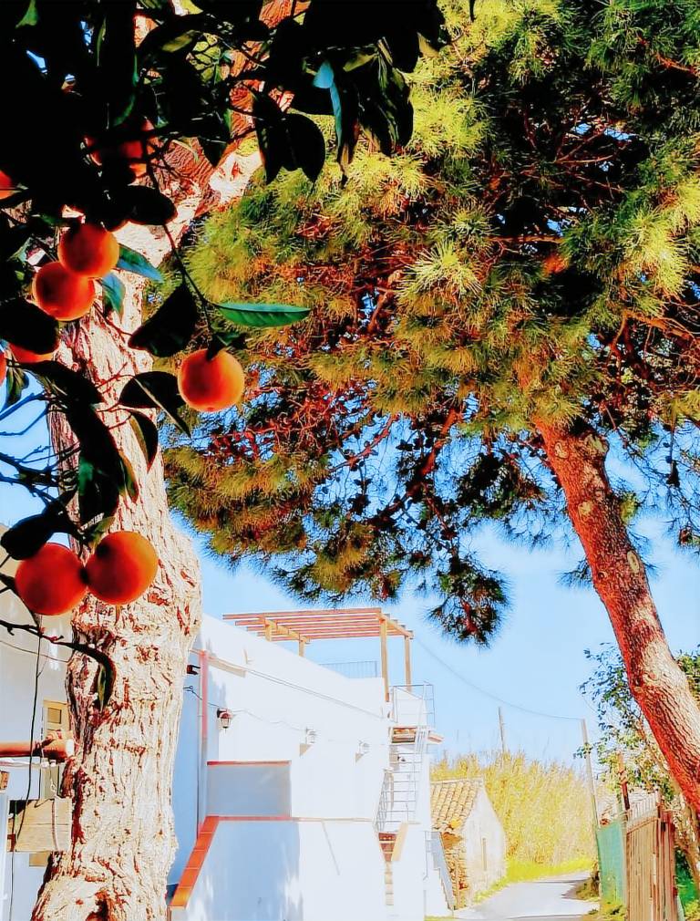Sweet Lemon Home