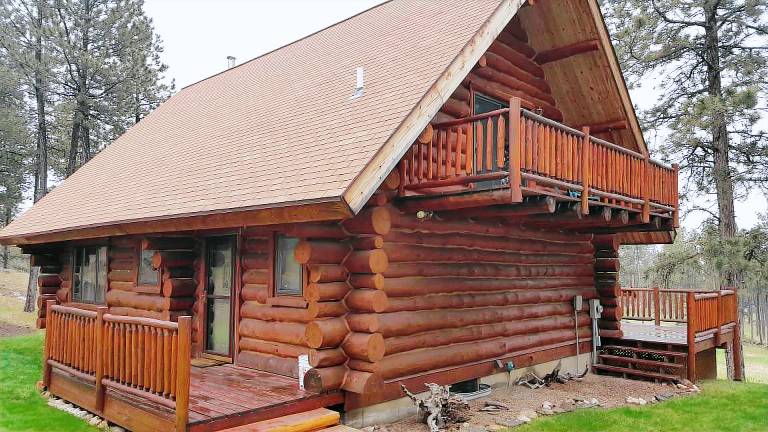Cabin  Custer