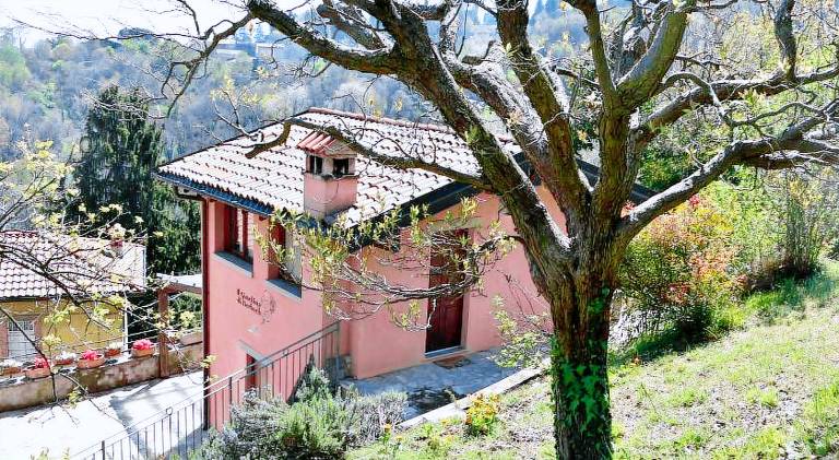 Holiday apartment with patio & yard | Suitable for remote work — photo 4