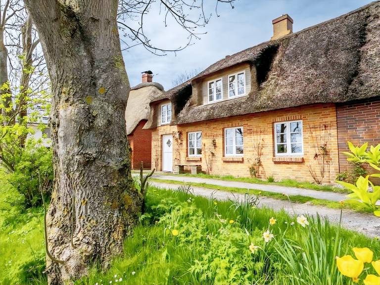 Westertilli 8 Reetdachhaus mit romantischem Garten