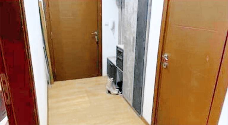 foto4