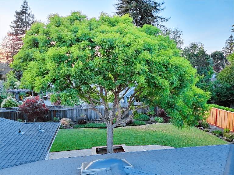 House  Walnut Creek
