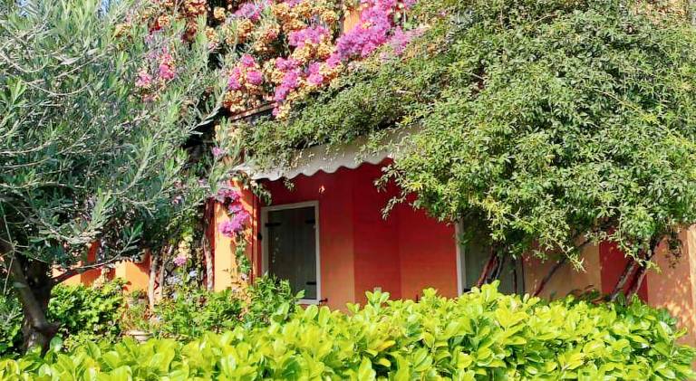 Apartment with pool | Pets allowed in Torri del Benaco