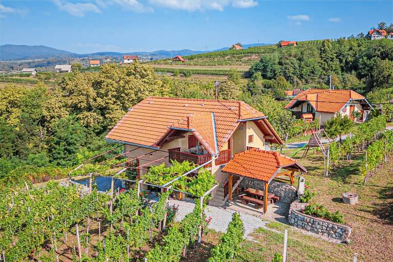 Chalet Drašiči