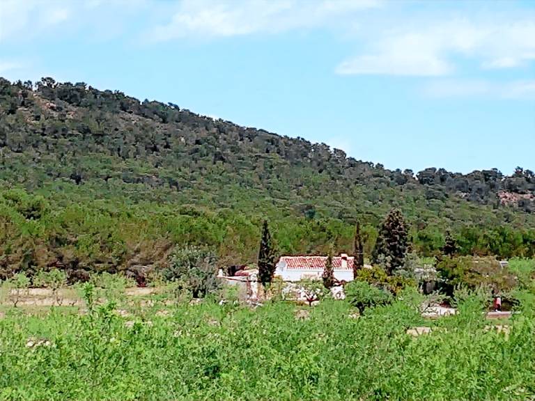 Casa rural Pliego