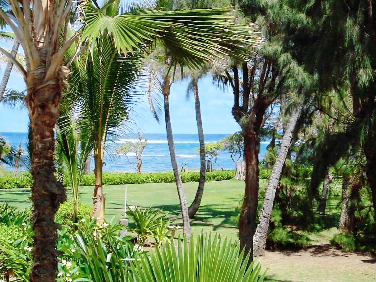 House Kapaa